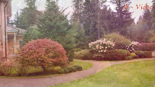 ?Ландшафтный дизайн своими руками Оригинальные идеи / Original ideas for landscape design/ A - Vide смотреть онлайн