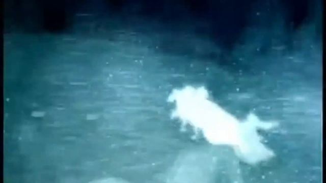 Почта Деда Мороза Выпуск 1 смотреть онлайн