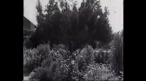 Leyla Sharipova (Лейла Шарипова) - Cheshm Berah - چشم براه - لیلا شریپووا