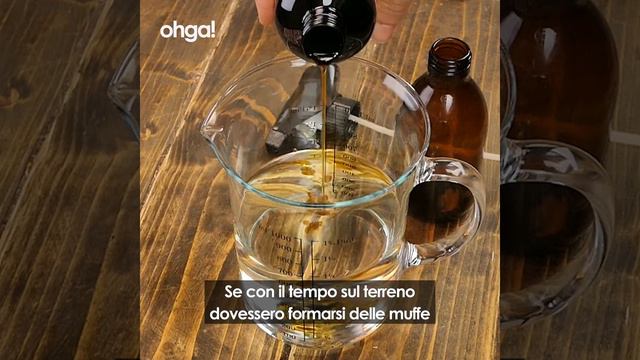 Come coltivare la primula: tutti i segreti per curare il fiore della primavera смотреть онлайн