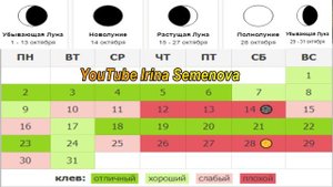 Календарь рыбака на Октябрь Прогноз клева рыбы на неделю Лунный календарь рыбака 2023