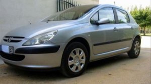 Peugeot 307 2.0 XT
