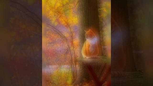 Осенью легко быть счастливым: теплый плед, горячий чай и любимая музыка. смотреть онлайн