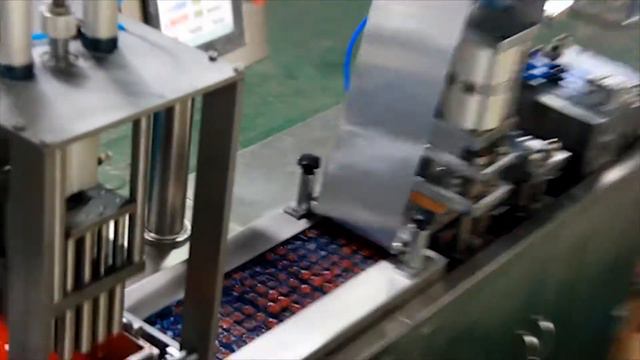 🔥Blister Packing Machine for bloodworms RW 14 extra video Minipress.ru смотреть онлайн