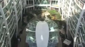Oasis of the Seas САМЫЙ БОЛЬШОЙ КРУИЗНЫЙ ЛАЙНЕР В МИРЕ