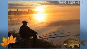 Как ловить сазана осенью в сентябре? На что ловить сазана осенью в сентябре? Сазан в сентябре!
