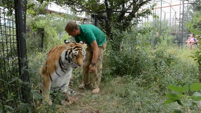 Олегу Зубков: в законе о лицензировании не учтена специфика смотреть онлайн