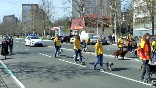 День города 25 апреля смотреть онлайн