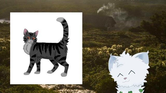 КОТЫ-ВОИТЕЛИ: ГЕНЕРАТОР ПЛЕМЁН ЧЕЛЛЕНДЖ ЧАСТЬ 1 #котывоители #вреки #врек #warriorcats #возродимрук