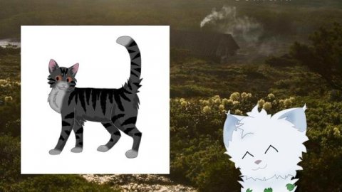 КОТЫ-ВОИТЕЛИ: ГЕНЕРАТОР ПЛЕМЁН ЧЕЛЛЕНДЖ ЧАСТЬ 1 #котывоители #вреки #врек #warriorcats #возродимрук