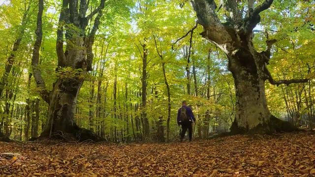 ПАМЯТИ НИКОЛАЯ КЕЗИНА