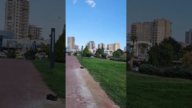 КРАСИВЫЙ РАЙОН МЕРСИНА ! #турция #мерсин #мерсинтурция #море