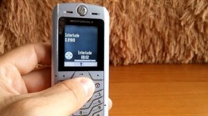 Motorola L6 Recenzja , Dzwonki , Gry , Bateria , Demontaż i Omówienie telefonu z 2005 roku