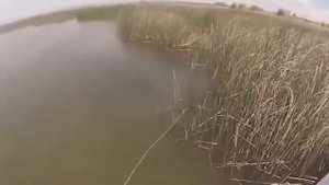 Боуфишинг Рыбалка с луком арбалет