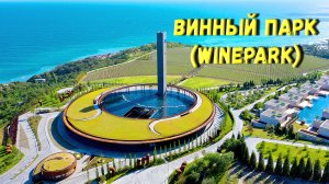 Винный парк (Winepark), Отель Mriya Resort & SPA, Ялта, Крым.