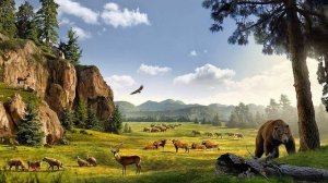 Происхождение собак / ВВЕДЕНИЕ В КИНОЛОГИЮ