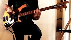 Rickenbacker vs Precision