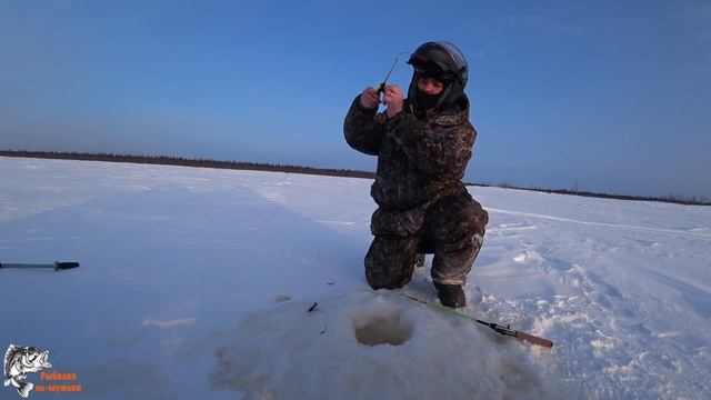 РАЗВЕДКА ТУНДРОВЫХ ОЗЁР РЫБАЛКА НА ОКУНЯ  К6А В ДЕЛЕ