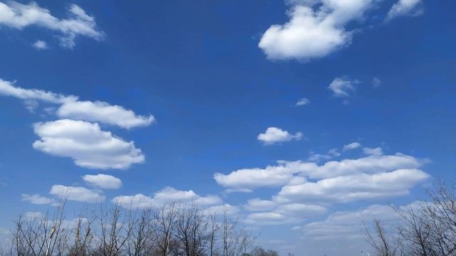 21 марта- народный праздник ДЕНЬ ЛАЗАРЯ.Приметы и традиции смотреть онлайн