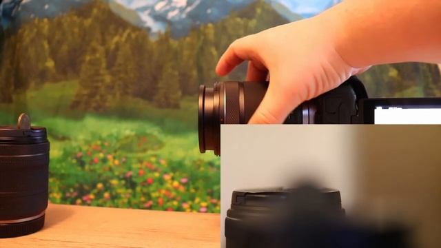 Использование объектива Canon RF 85 2.0 с макрокольцами Viltrox и сравнение с другой оптикой.