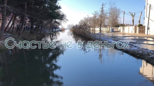Омар Хайям. «Кто понял жизнь…»#красивыестихи#стихидлядуши