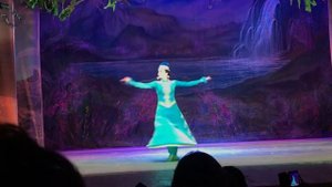 Уйгурский сольный танец ?Ширинай Илиева??????????,