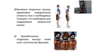 Почему нужно пройти обучение: Ягодичные мышцы. Методика и биомеханика тренировок