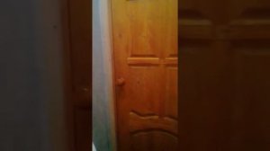 Добавила слабительное в чай 2 часть