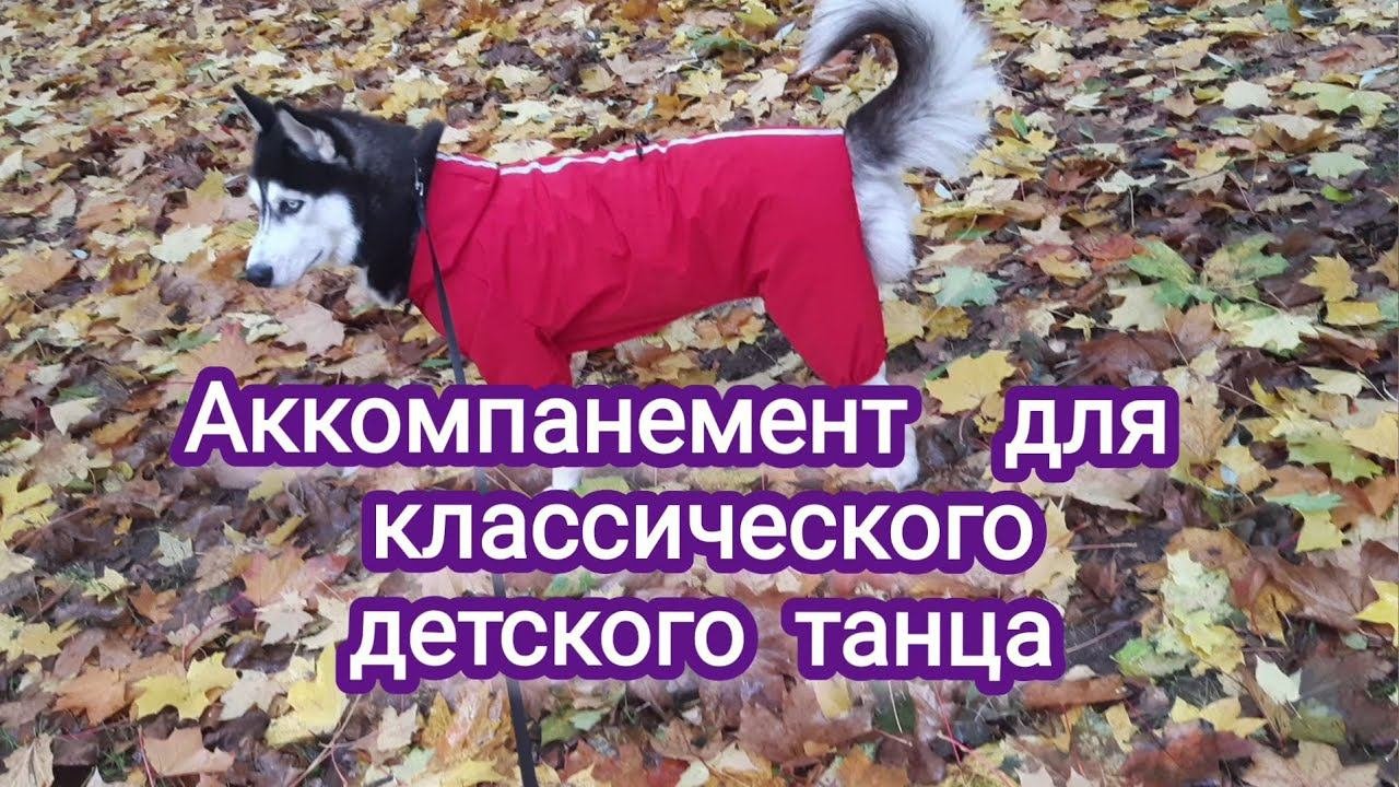 Музыкальное звукооператорское мастерство  | 1 курс | Творческая учебная работа