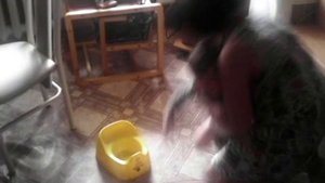 Высаживание на горшок