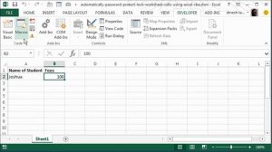 Automatically Password Protect Excel Worksheet and Lock Cells after Data Entry using VBA