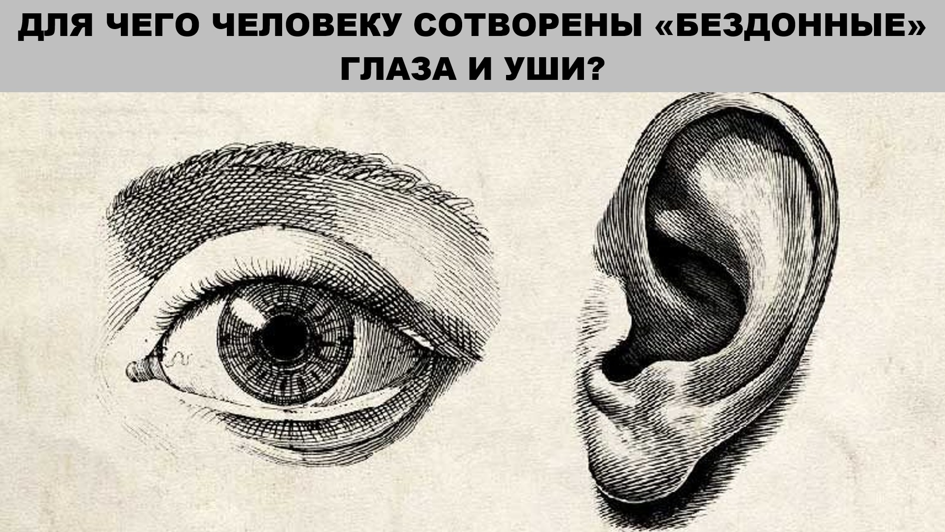 Eye ear. Зарисовки уха с глазом.