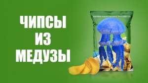 Вы пробовали Чипсы из Медузы?