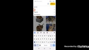 показываю как в хаи́пер сделать нексбота