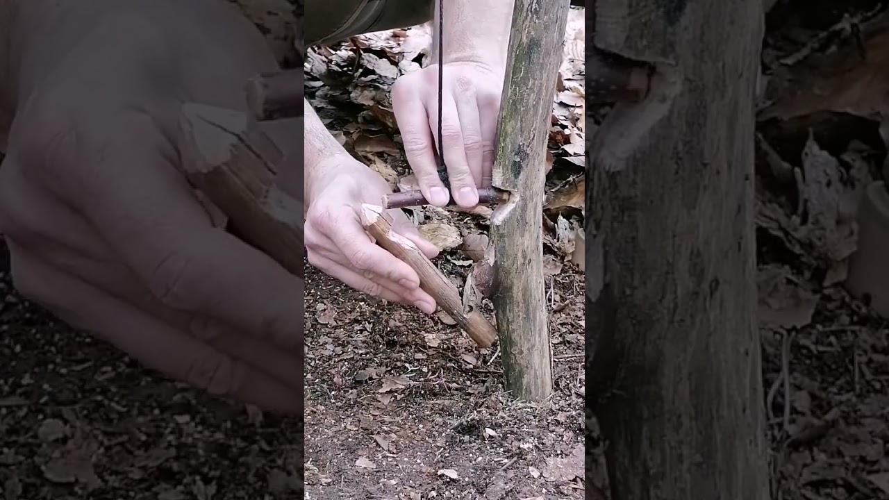 Trap #bushcraft #trap #survival (1)