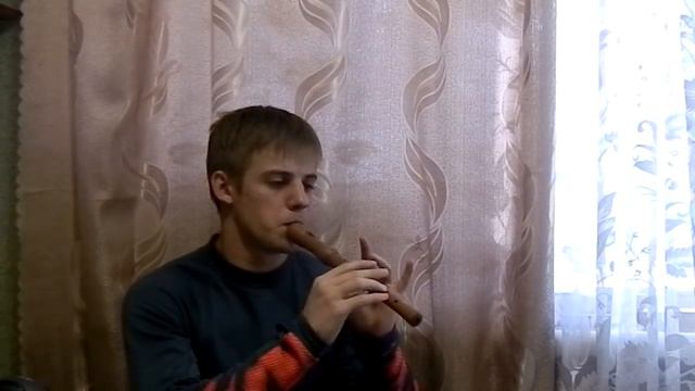 (Блокфлейта)Сектор газа - укус вампира