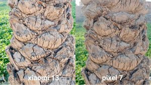 xiaomi 13 vs google pixel 7 camera test