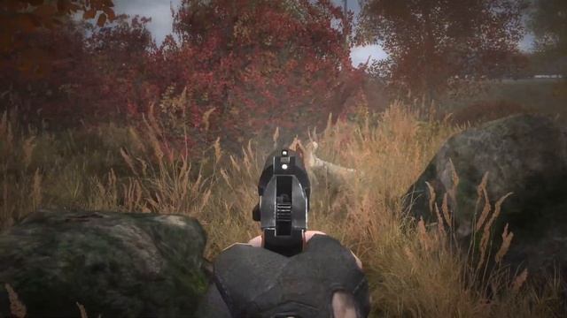 S.T.A.L.K.E.R. Тайна кордона. Полное прохождение