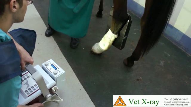 Рентгенография путового сустава рентген аппаратом syp-5 и Wi-Fi PSA приемником