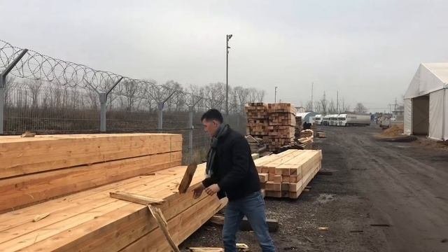 СУХОСТОЙ. ПРОСТО И ДОСТУПНО