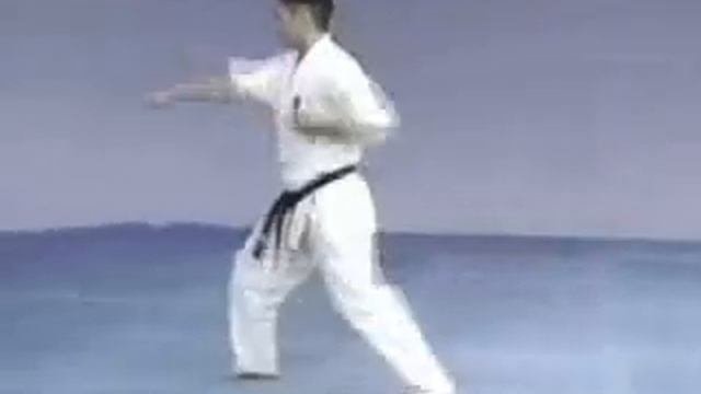 какойто каратист орёт фигню (часть No 1)