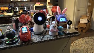 Jibo and Friends - Cinco de Mayo in Style
