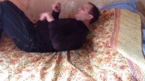 Матрас Аскона скрипит