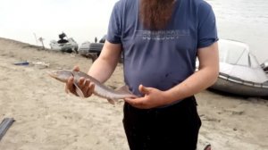 Рыбалка в Сузуне. Ловим рыбу на доки, бутылки и поставки.