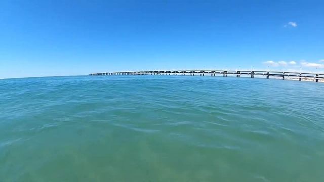 5.05.2021. Анапа. Пляж. Купание с дельфином. смотреть онлайн