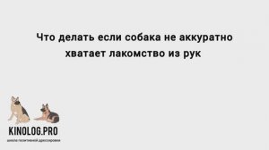 Что делать если собака неприятно хватает лакомство из рук.