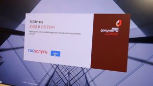 100% социально значимых услуг можно получить в электронном виде