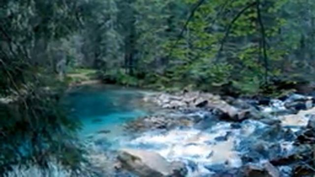 Успокаивающий шум воды, пение птиц, шум леса смотреть онлайн