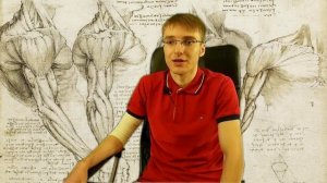 Как укрепить связки и сухожилия, избежать травм? тренировки, питание, добавки
