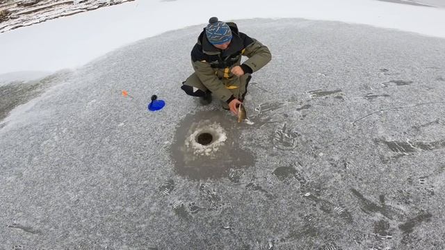 Рыбалка по первому льду!Напороли щуки килограмм 30!Сезон твердого льда 2023 смотреть онлайн